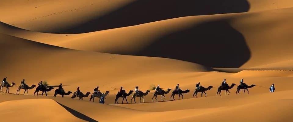 Élégant safari dans le désert marocain Jour 3 · Marrakech - Aït Benhaddou - Tamegroute - Zagora - Élégant safari dans le désert marocain