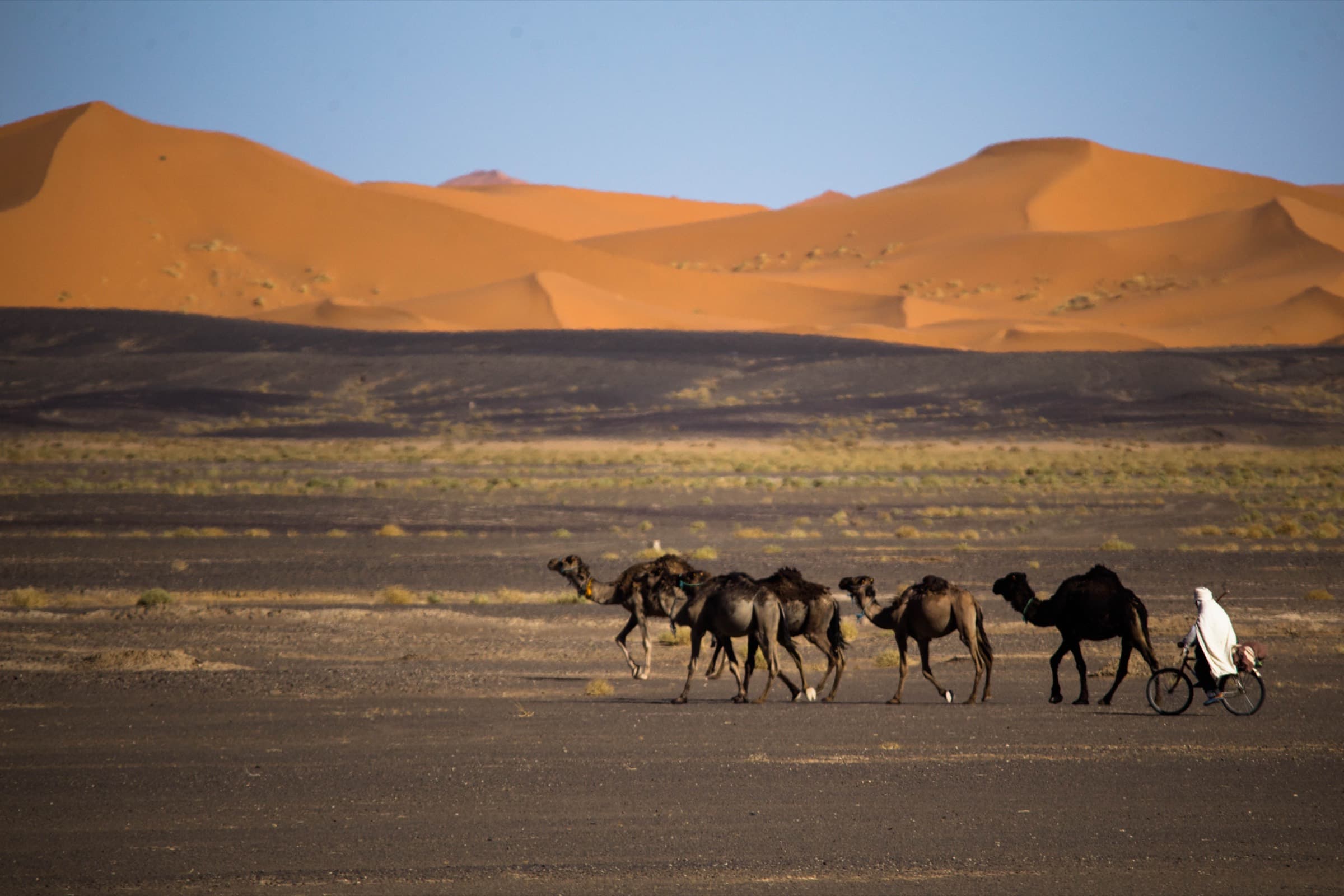 Marrakech ve Ait Benhaddou Marrakech – Casablanca / Essaouira Opsiyonlu Final - Casablanca Çıkışlı 5 Günlük Fas Çöl Safari, Marrakech ve Ait Benhaddou Turu